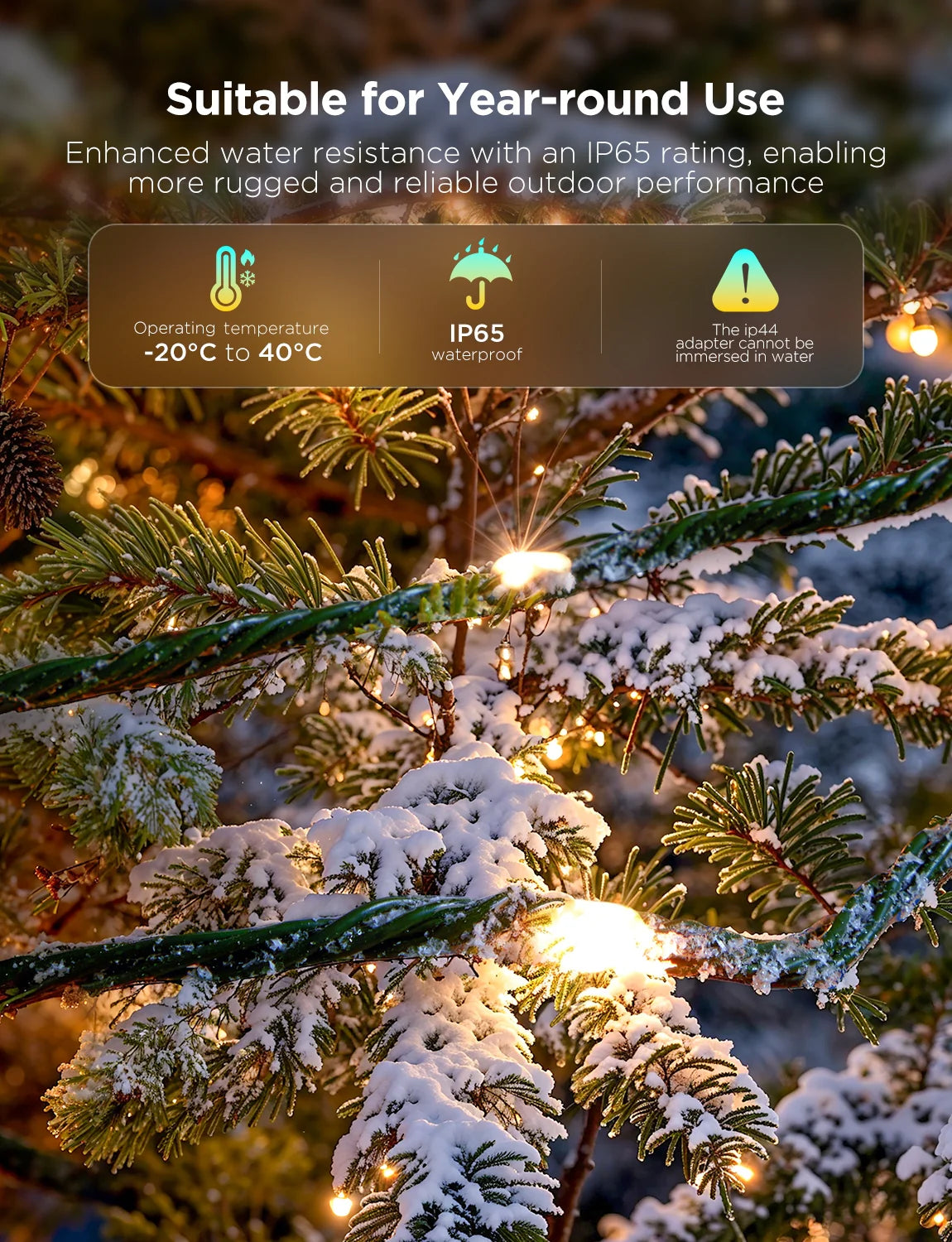 Govee Christmas String Lights 2S 20m